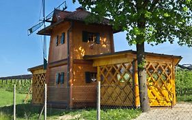 Unique wooden holiday house in nature